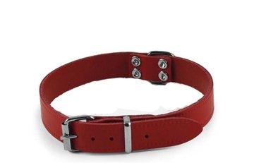 Leder Hundehalsband