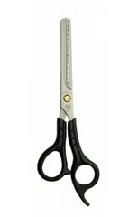 Hondenschaar Beginner & Semi-Prof