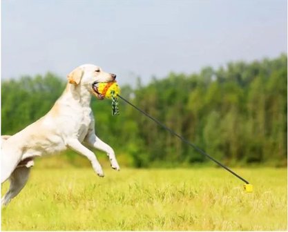 Flexibel Speelkoord met Snackdispencer Hondenspeelgoed