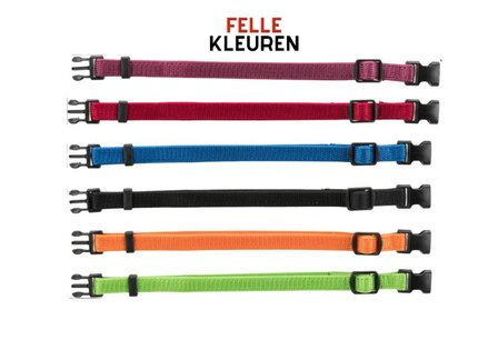 Puppyhalsbandjes Assorti - 6 Kleuren (17-25 cm)