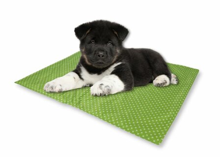 Koelmat voor Honden (60x50 cm) Groen | Benchkoning.nl