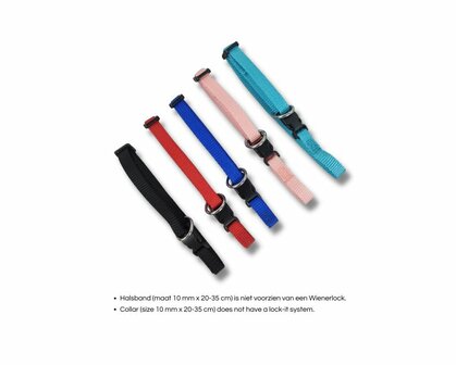 Hondenhalsband Met Wienerlock Kliksluiting - Nylon - Zwart - Diverse Maten