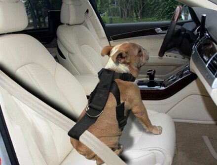 Auto Veiligheidstuig - Hondentuig - Diverse Maten