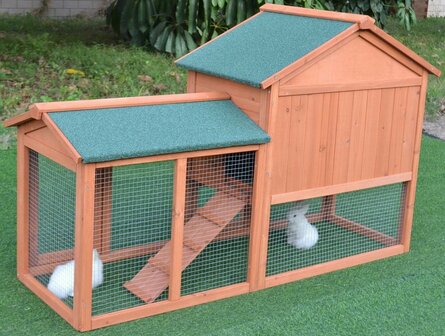 Kippenhok Woodland Landscape