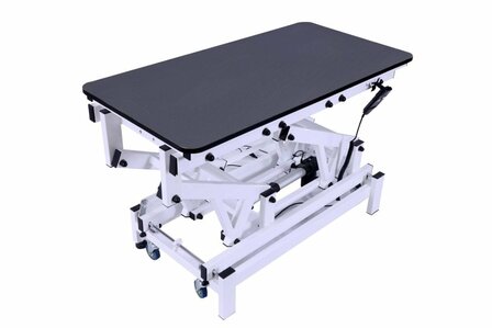 Trimtafel Elektrisch Emperor IIW - 120x60 cm - Met Wielhefsysteem