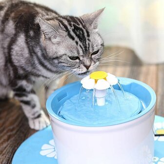 Bloem Drinkfontein Voor Hond en Kat - Met stromend water &amp; stille pomp