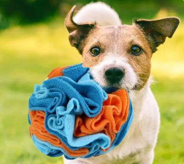 Trainingsbal Snuffelbal voor kleine honden (15 cm)