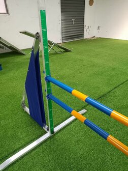 Agility Professionele Sprong - Dubbel - Hoogte verstelbaar