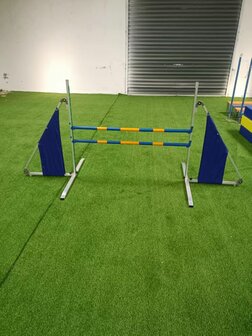 Agility Professionele Sprong - Dubbel - Hoogte verstelbaar