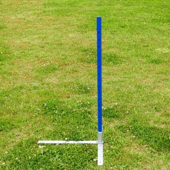 Professionele Agility Hoogte sprong dubbel