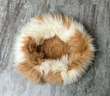 Schapenvacht 100% Echt &amp; Natuurlijk - Bruin Wit 60-70 cm - Hondenmand Kattenmand