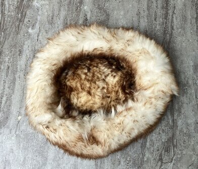 Schapenvacht 100% Echt &amp; Natuurlijk - Cr&egrave;me Bruin 50-60 cm - Hondenmand Kattenmand