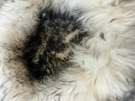 Schapenvacht 100% Echt &amp; Natuurlijk - Zwart Wit 50-60 cm - Hondenmand Kattenmand