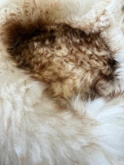 Schapenvacht 100% Echt &amp; Natuurlijk - Cr&egrave;me Bruin 50-60 cm - Hondenmand Kattenmand