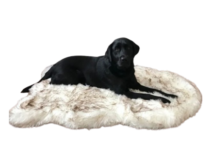 Schapenvacht 100% Echt &amp; Natuurlijk - Wit Middel lang Haar - 110 cm