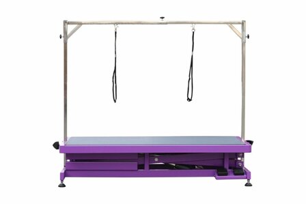 Trimtafel Elektrisch FT-808 - Paars