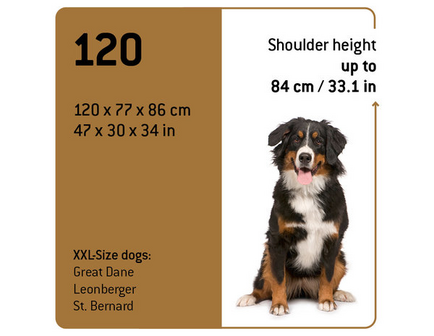 Maelson Reisbench Grijs (120 cm)