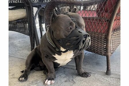 Muilkorf Siliconen Snuitje - Zwart TPE MT4