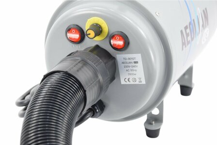 Waterblazer Aeolian Doodle Blaster TD-901GT (2200 Watt)