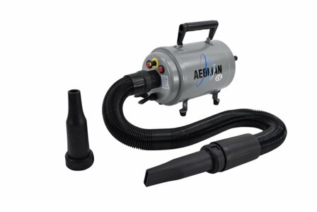 Waterblazer Aeolian Doodle Blaster TD-901GT (2200 Watt)