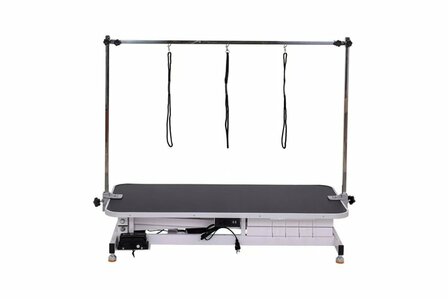 Trimtafel Elektrisch BG1