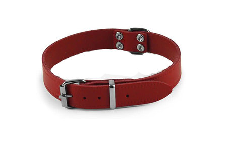 Chronisch progressief gras Leren Halsband Rood (30 cm) | Benchkoning.nl