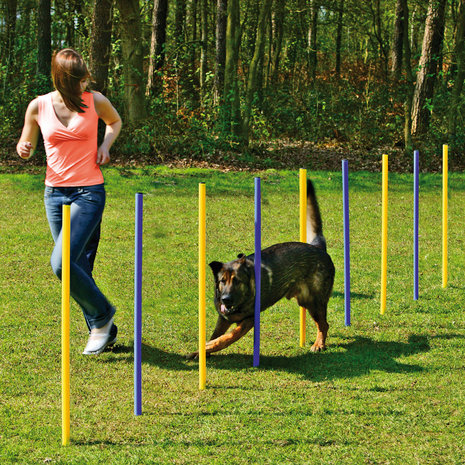 Agility Slalomset Palenset Professioneel 6 palen