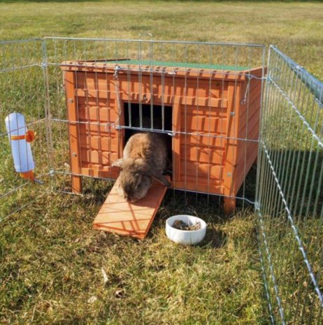 hebzuchtig naakt maaien Konijnenhok Outdoor - Voor Buiten