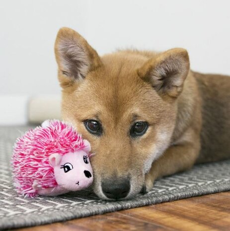 KONG Comfort Hedgehug - Puppy Speelgoed - XS