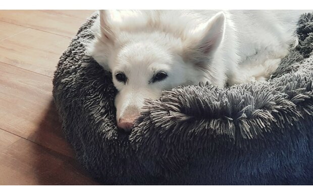 Fluffy Donut Hondenmand Kattenmand - Blauw - Diverse Maten