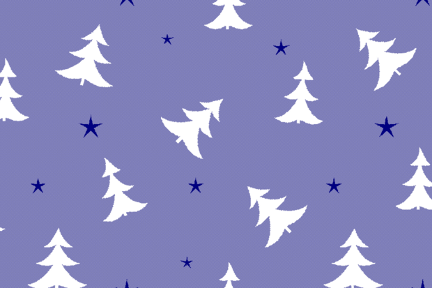 Vetbed Christmas - Starry Pine - Gemêleerd Blauw - Anti-Slip - 5 Stuks 150x100 cm