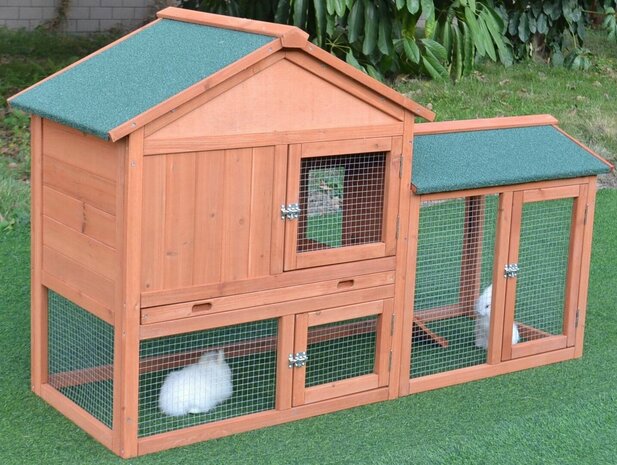 Kippenhok Woodland Landscape