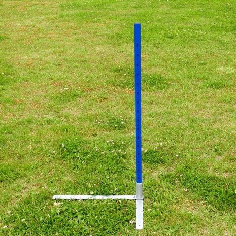 Professionele Agility Hoogte sprong dubbel