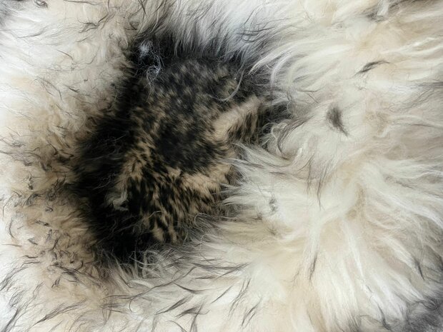 Schapenvacht 100% Echt & Natuurlijk - Zwart Wit 50-60 cm - Hondenmand Kattenmand