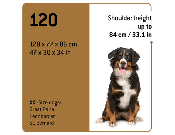 Maelson Reisbench Beige (120 cm)