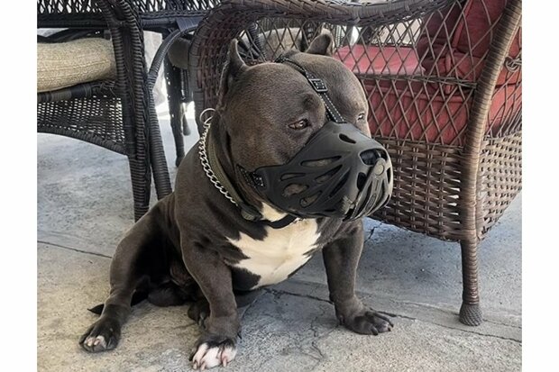 Muilkorf Siliconen Snuitje - Zwart TPE MT6