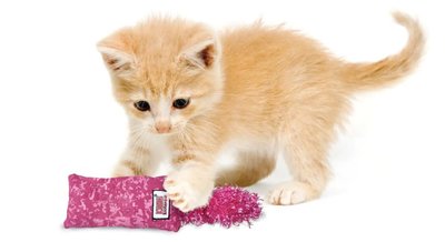 KONG Kitten Kickeroo - Gemengde Kleuren - Kattenspeelgoed