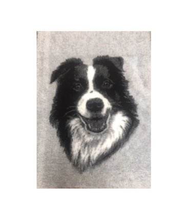 Vetbed Border Collie Kop - Anti-Slip - Diverse maten