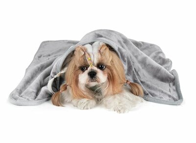 Hundedecke Fleecedecke - 100 x 70 cm Anthrazit - Soft Velours