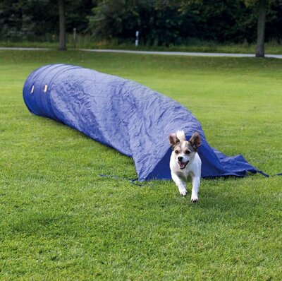 Agility Zaktunnel