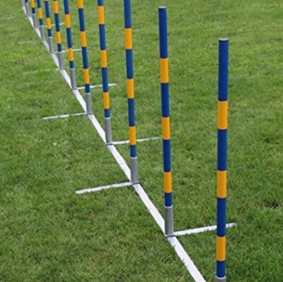 Agility Professionele Slalomset - Palenset 12 palen - Recht