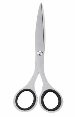 Hondenschaar RVS Recht 16.5 CM