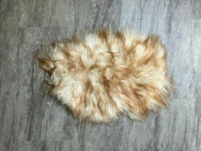 Schapenvacht 100% Echt & Natuurlijk -  Wit Bruin Lang Haar - 82 cm