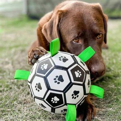 Voetbal voor Hond - 16 cm - Met touwen - Drijvend Hondenspeeltje - Met Pomp