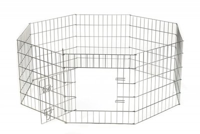 Puppyren Zink M+ (8x60 - 60 H)