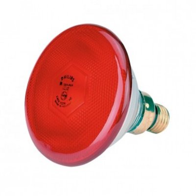 Warmtelamp Rood Licht (175 Watt)